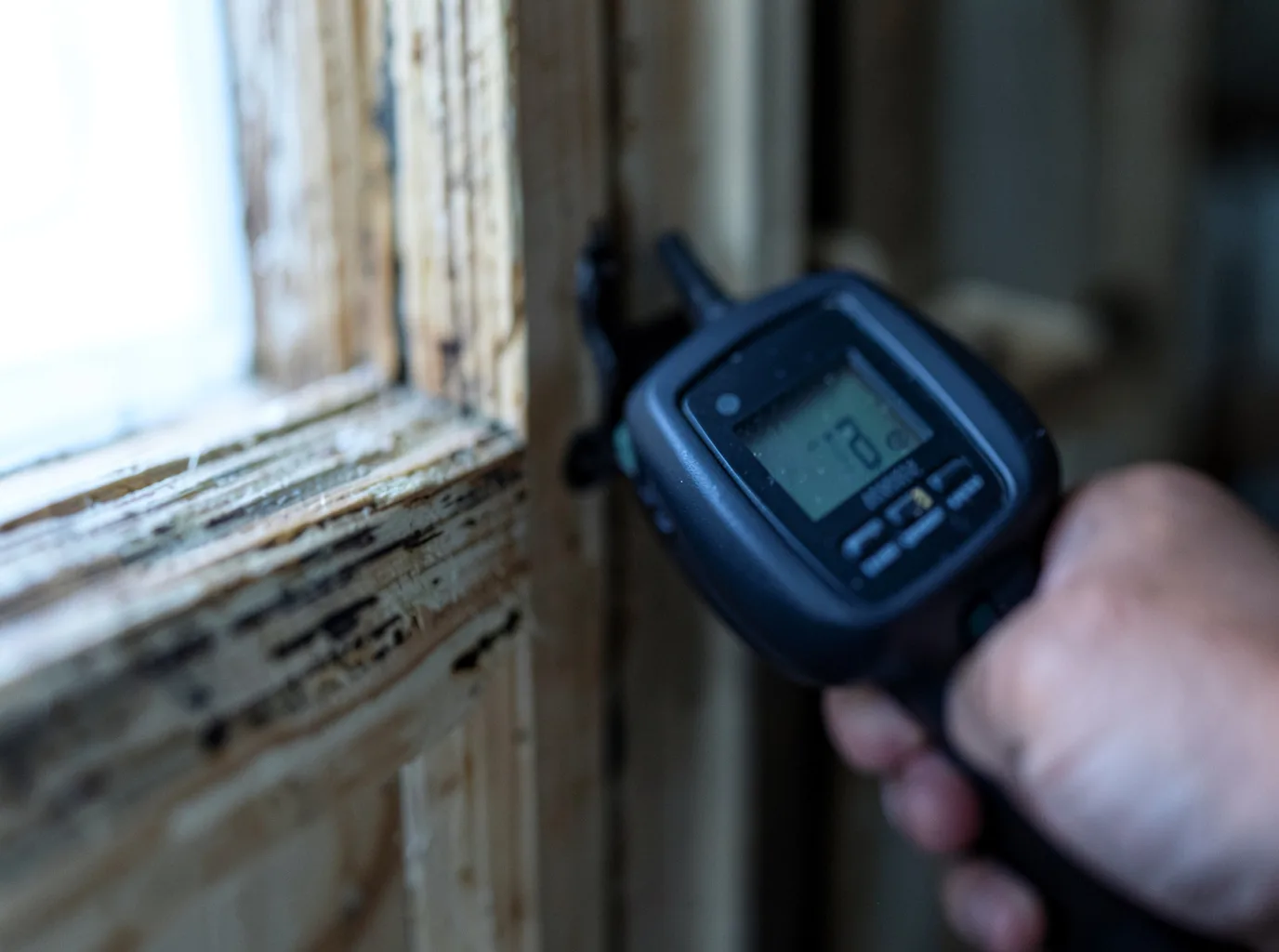 Moisture Inspection And Documentation in Glen Dale, WV